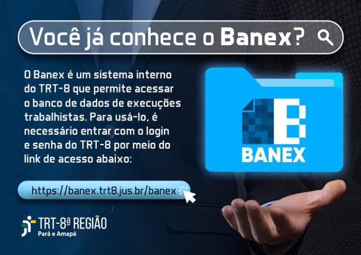 Arte  gráfica nas cores azul e branco. Na parte superior a pergunta: Você já conhece o Banex? 