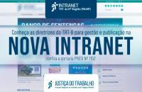 Arte gráfica sobre a nova intranet