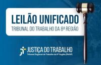 Descrição de imagem: Arte gráfica nas cores azul e branco. No card o texto: Leilão unificado. Tribunal do Trabalho da 8ª Região. No rodapé, a logomarca da Justiça do Trabalho da 8ª Região